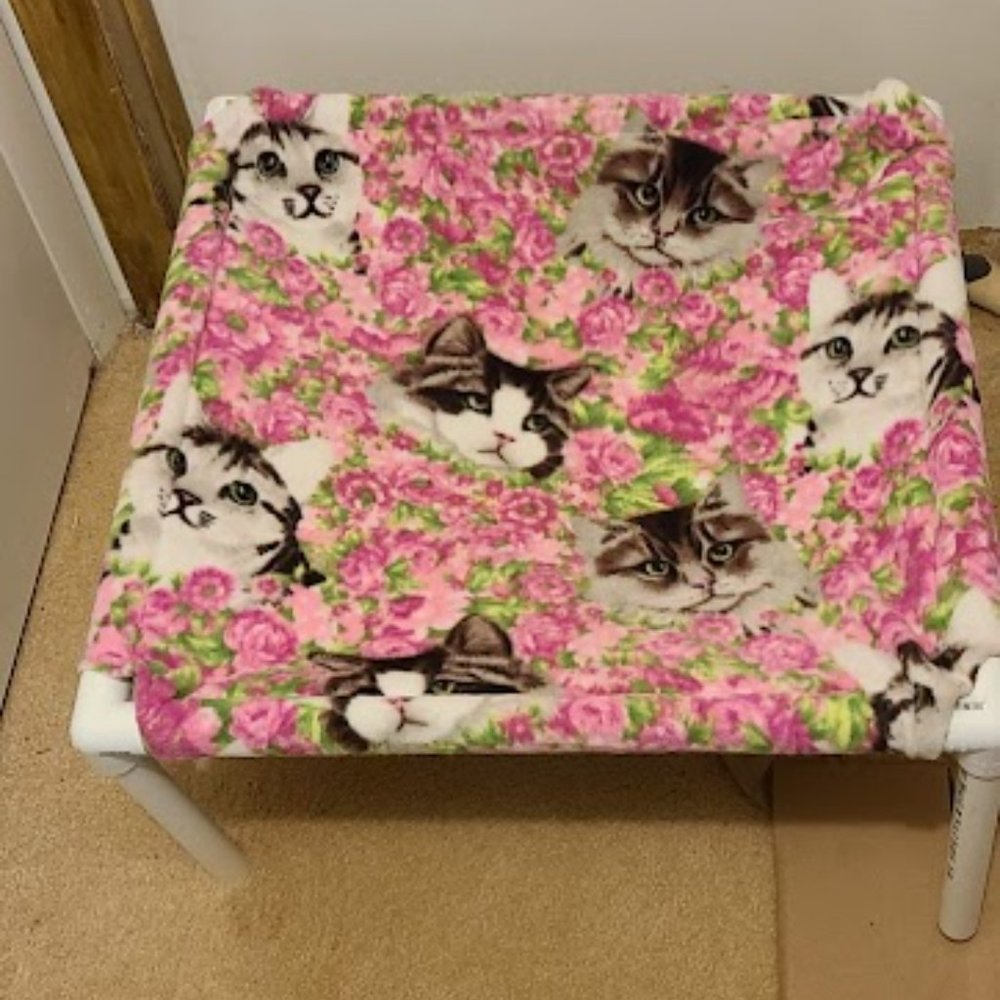 Cat nip Hammock